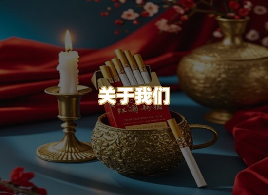 关于我们